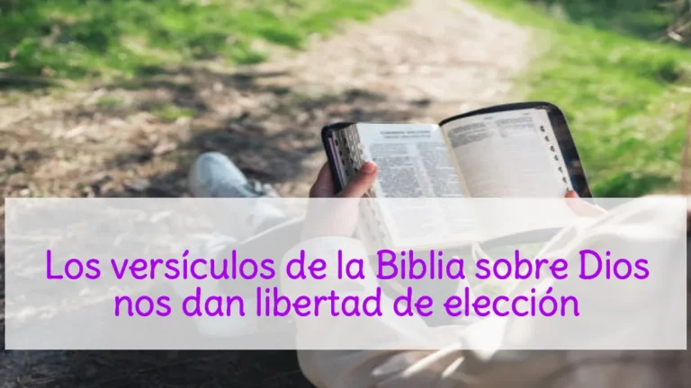 Los versículos de la Biblia sobre Dios nos dan libertad de elección