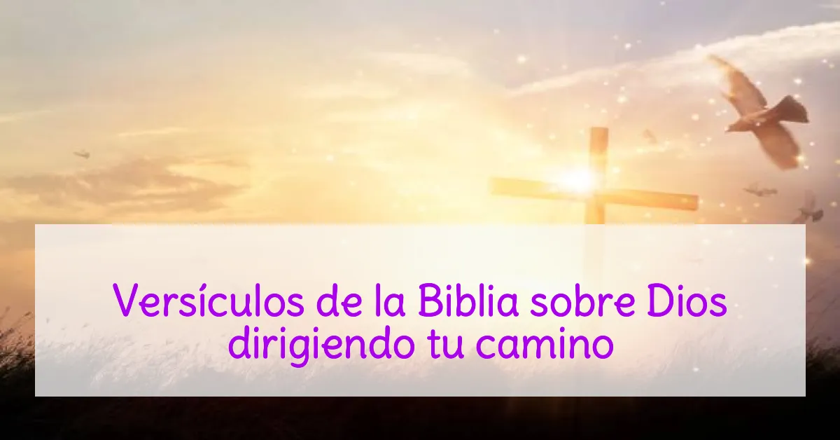 Versículos de la Biblia sobre Dios dirigiendo tu camino