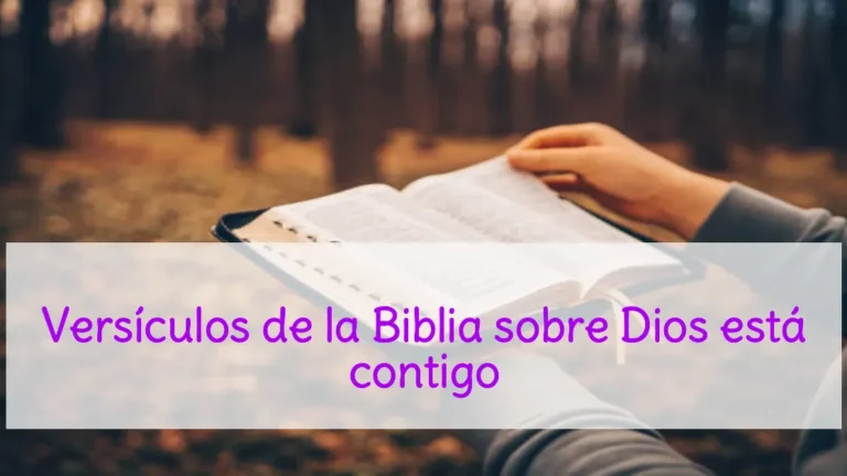 Versículos de la Biblia sobre Dios está contigo