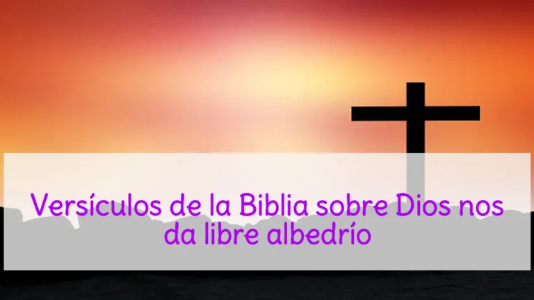 Versículos de la Biblia sobre Dios nos da libre albedrío