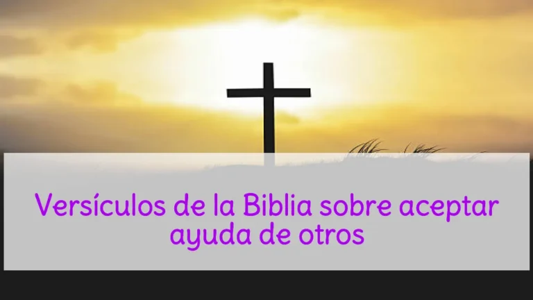Versículos de la Biblia sobre aceptar ayuda de otros