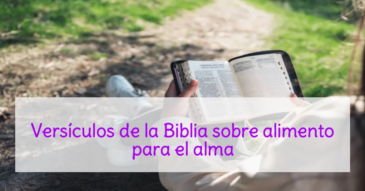 Versículos de la Biblia sobre alimento para el alma