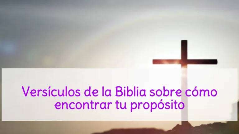 Versículos de la Biblia sobre cómo encontrar tu propósito