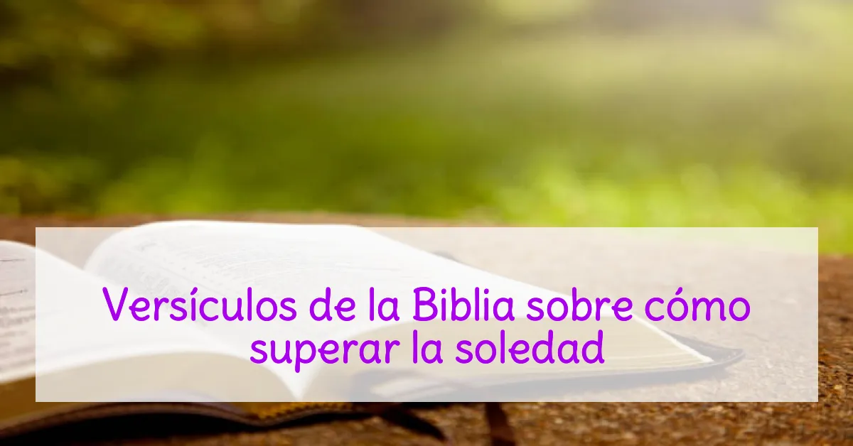 Versículos de la Biblia sobre cómo superar la soledad