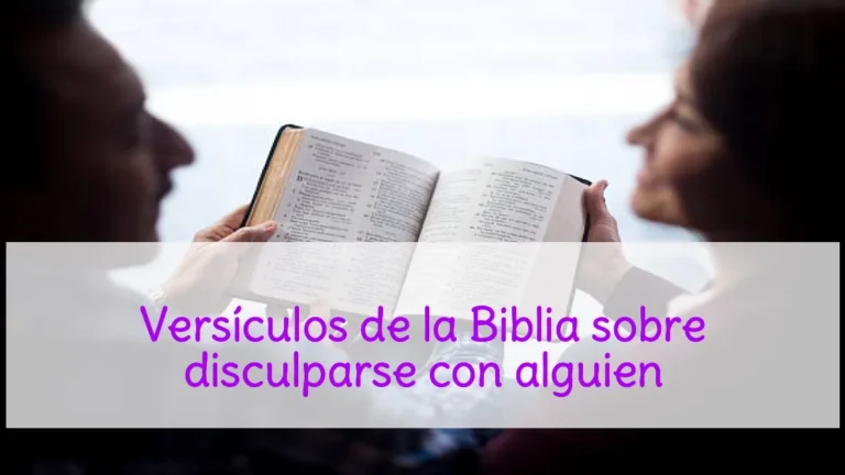 Versículos de la Biblia sobre disculparse con alguien