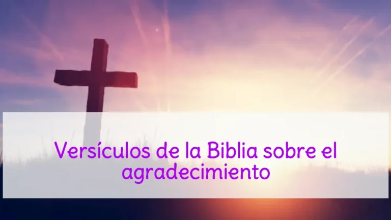 Versículos de la Biblia sobre el agradecimiento