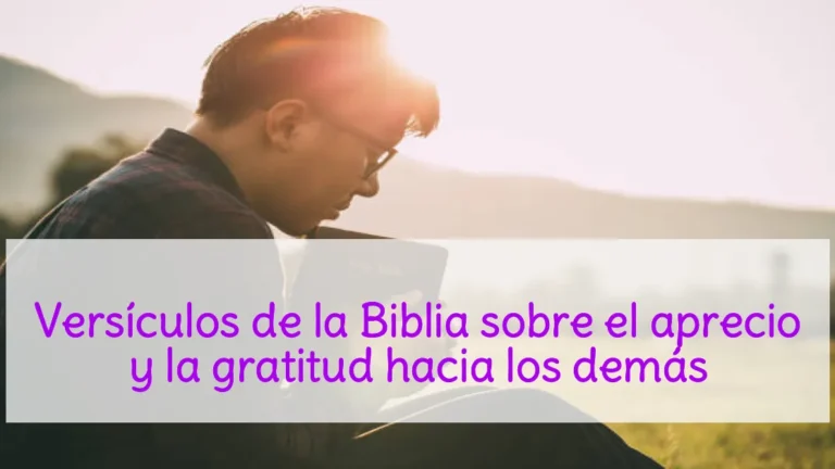 Versículos de la Biblia sobre el aprecio y la gratitud hacia los demás