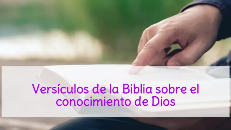 Versículos de la Biblia sobre el conocimiento de Dios