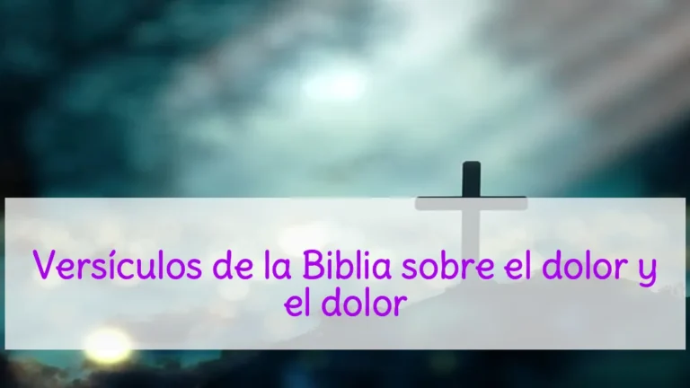 Versículos de la Biblia sobre el dolor y el dolor