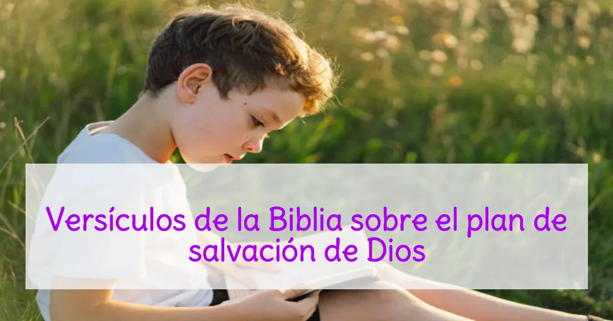 Versículos de la Biblia sobre el plan de salvación de Dios