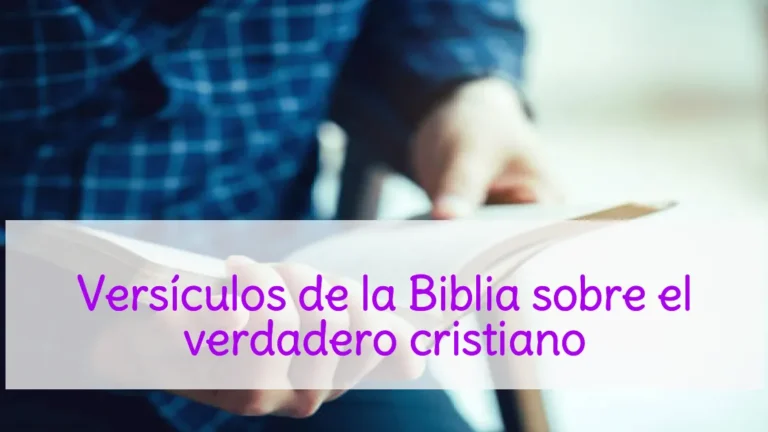 Versículos de la Biblia sobre el verdadero cristiano