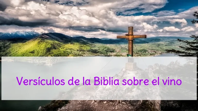 Versículos de la Biblia sobre el vino