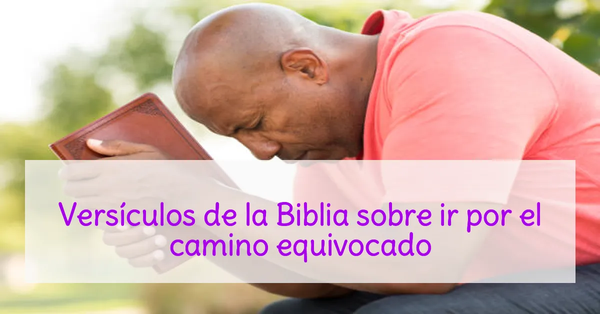 Versículos de la Biblia sobre ir por el camino equivocado