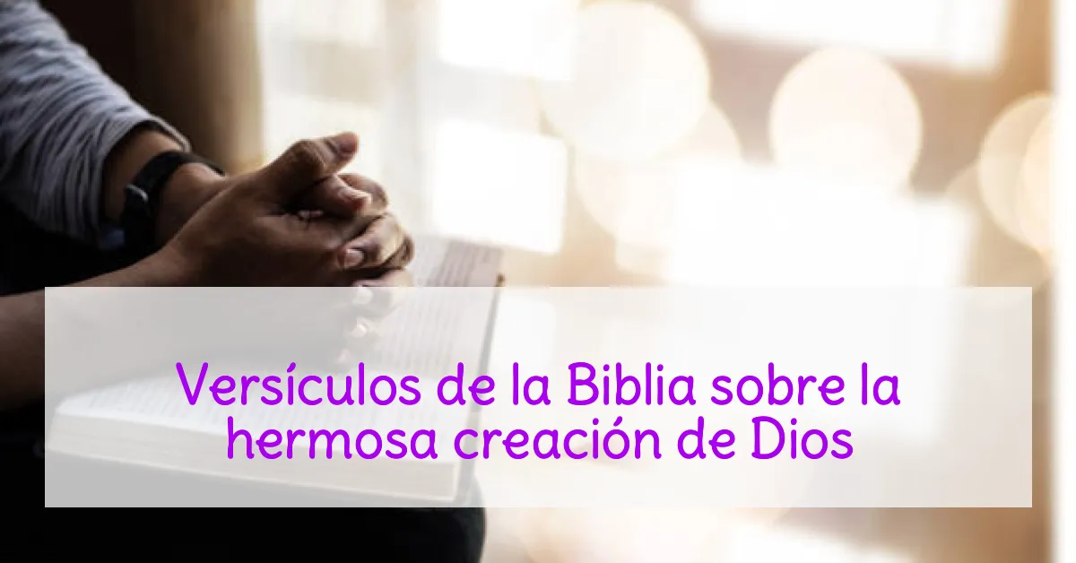 Versículos de la Biblia sobre la hermosa creación de Dios