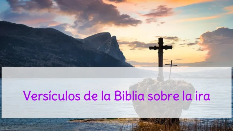 Versículos de la Biblia sobre la ira