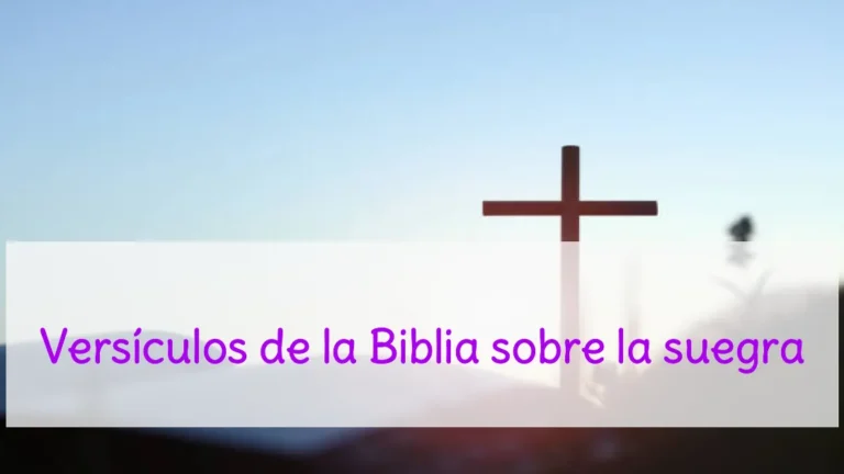 Versículos de la Biblia sobre la suegra