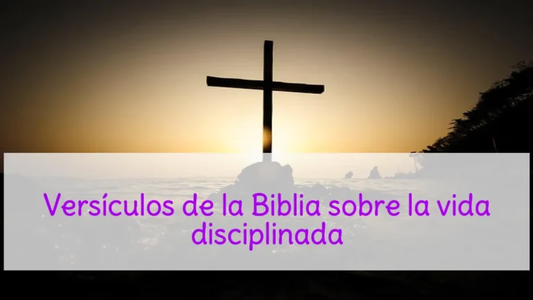 Versículos de la Biblia sobre la vida disciplinada