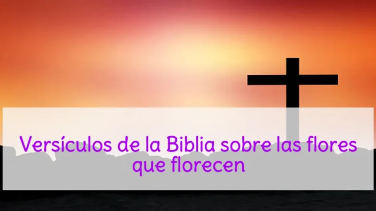Versículos de la Biblia sobre las flores que florecen