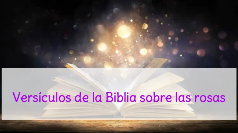 Versículos de la Biblia sobre las rosas