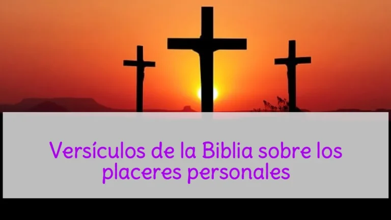 Versículos de la Biblia sobre los placeres personales