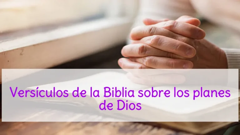 Versículos de la Biblia sobre los planes de Dios