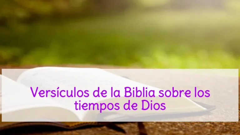 Versículos de la Biblia sobre los tiempos de Dios