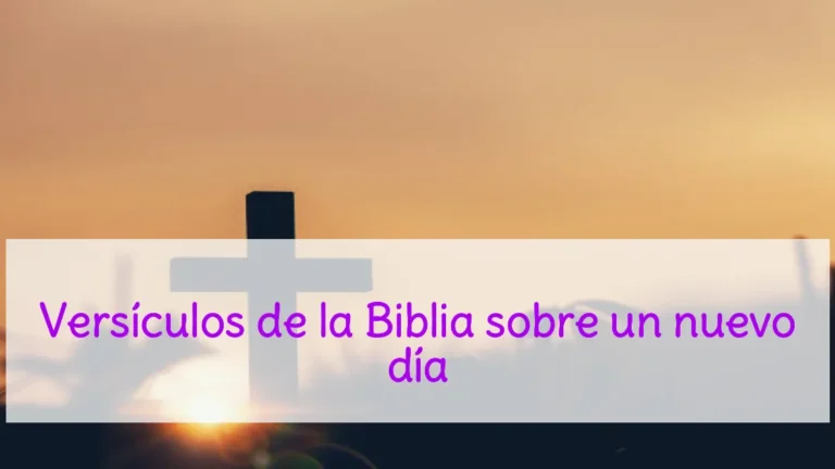 Versículos de la Biblia sobre un nuevo día