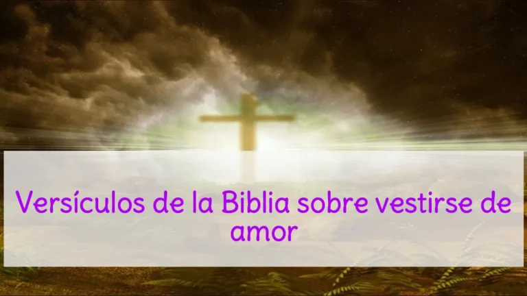 Versículos de la Biblia sobre vestirse de amor