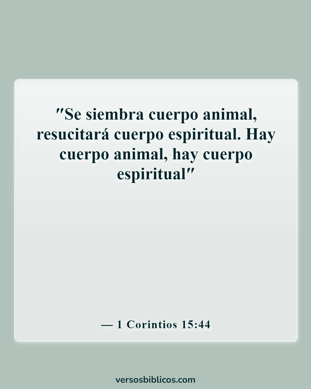 Versículos de la Biblia sobre cuerpo alma y espíritu (1 Corintios 15:44)