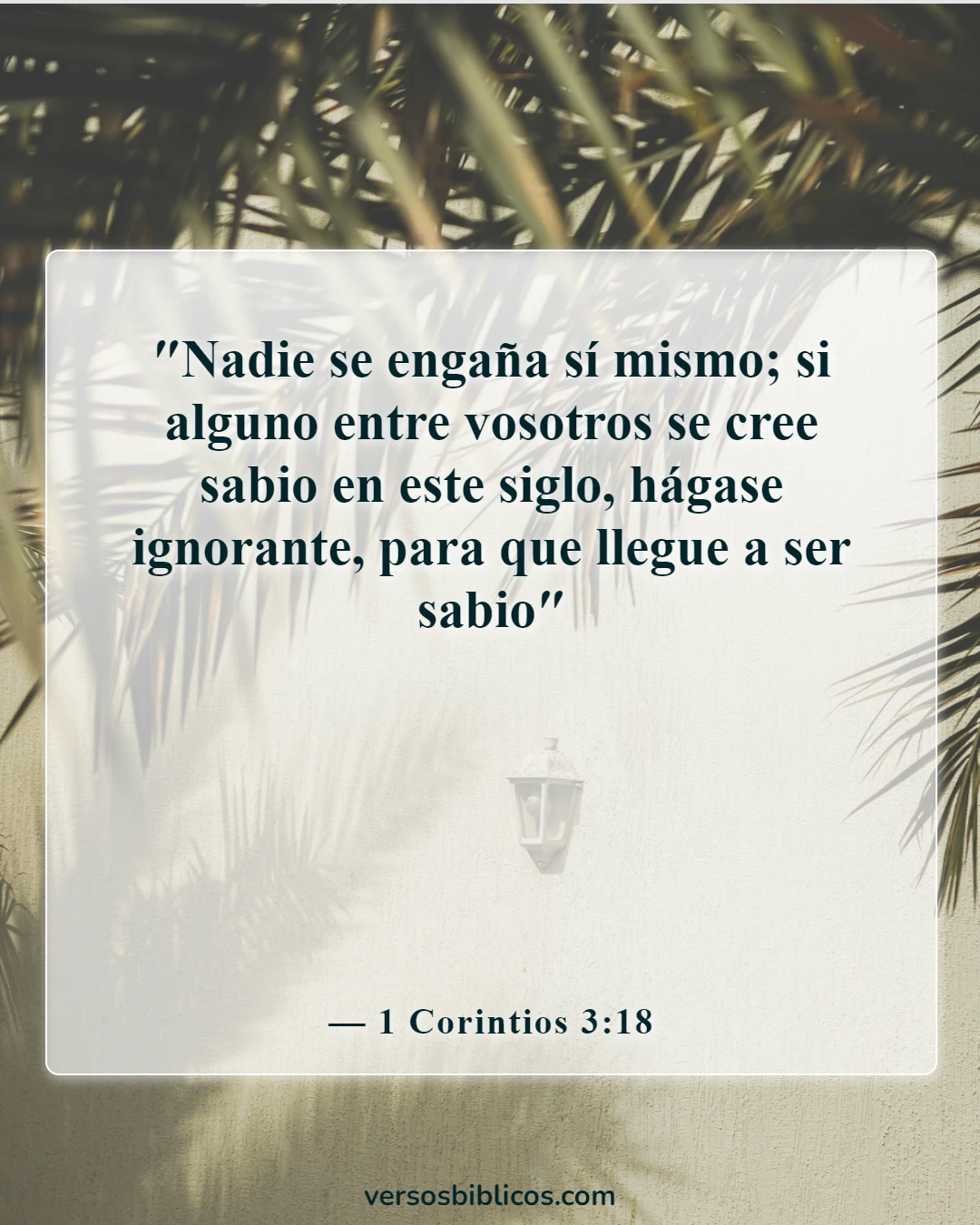 Versículos de la Biblia sobre el tonto (1 Corintios 3:18)