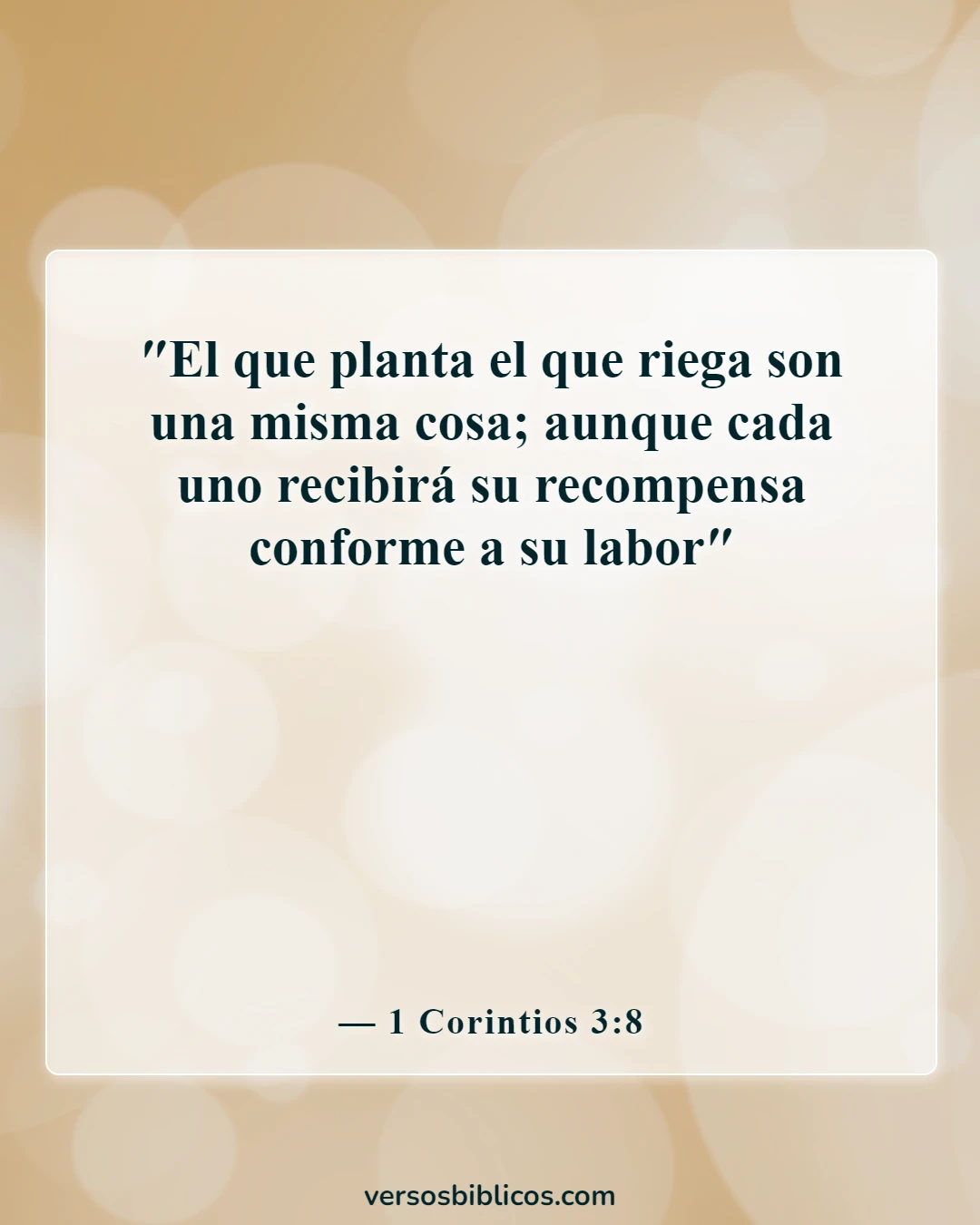 Versículos de la Biblia sobre asumir la responsabilidad de sus propias acciones (1 Corintios 3:8)