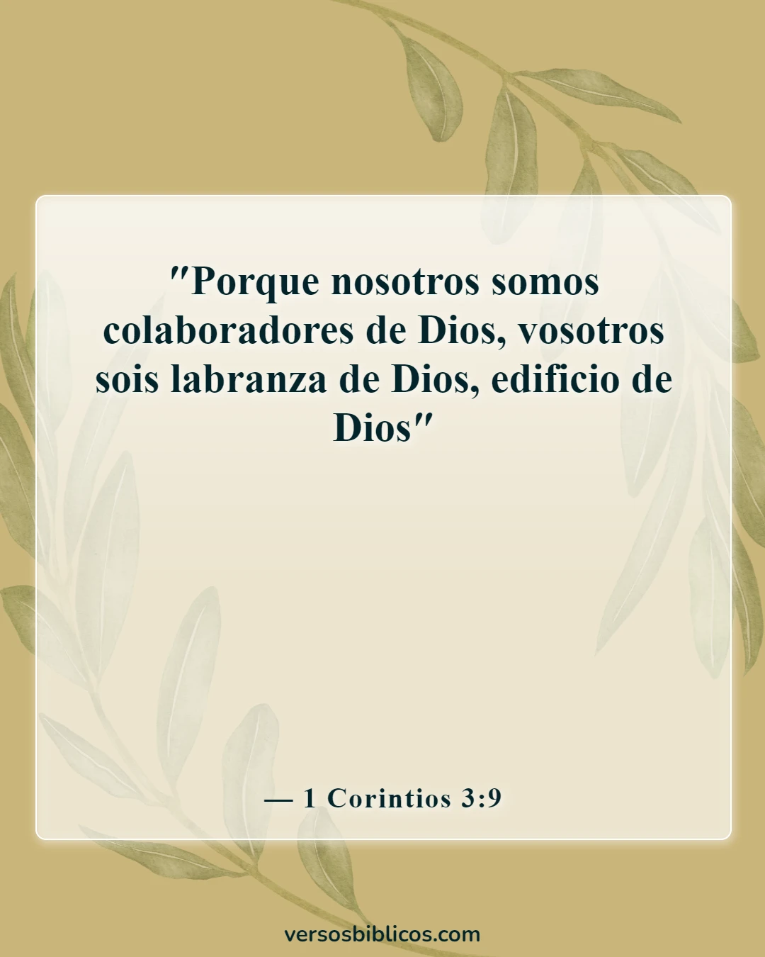 Versículos de la Biblia sobre el voluntariado en la iglesia (1 Corintios 3:9)
