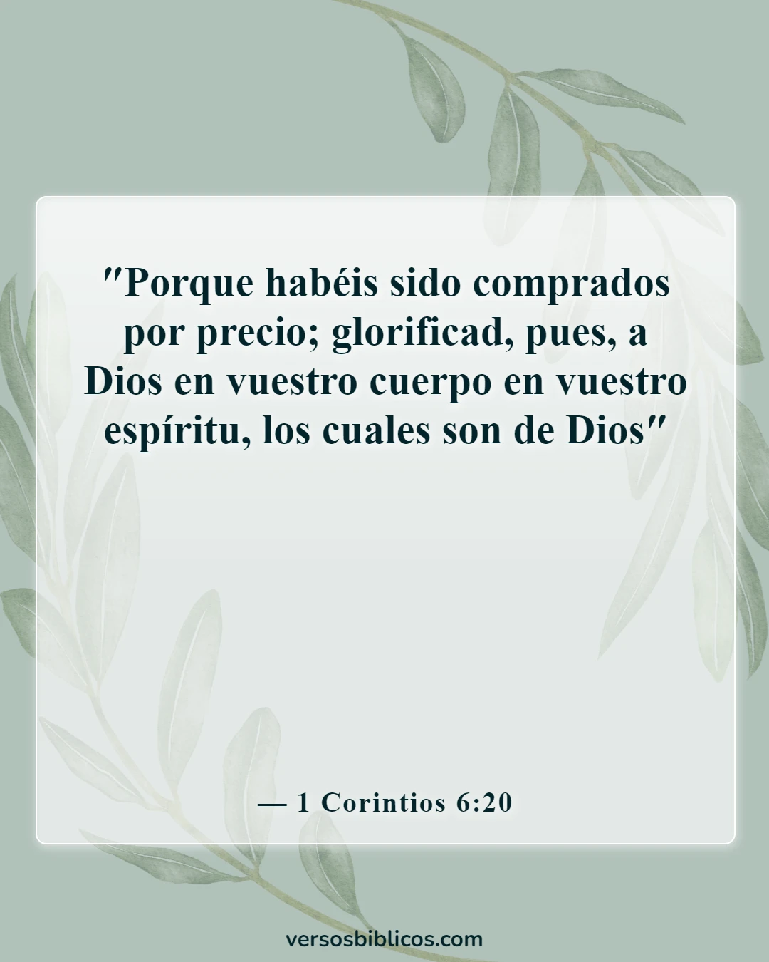 Versículos de la Biblia sobre lo valiosos que somos para Dios (1 Corintios 6:20)
