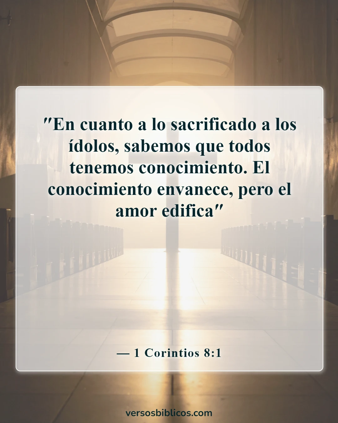 Versículos de la Biblia sobre el conocimiento humano (1 Corintios 8:1)