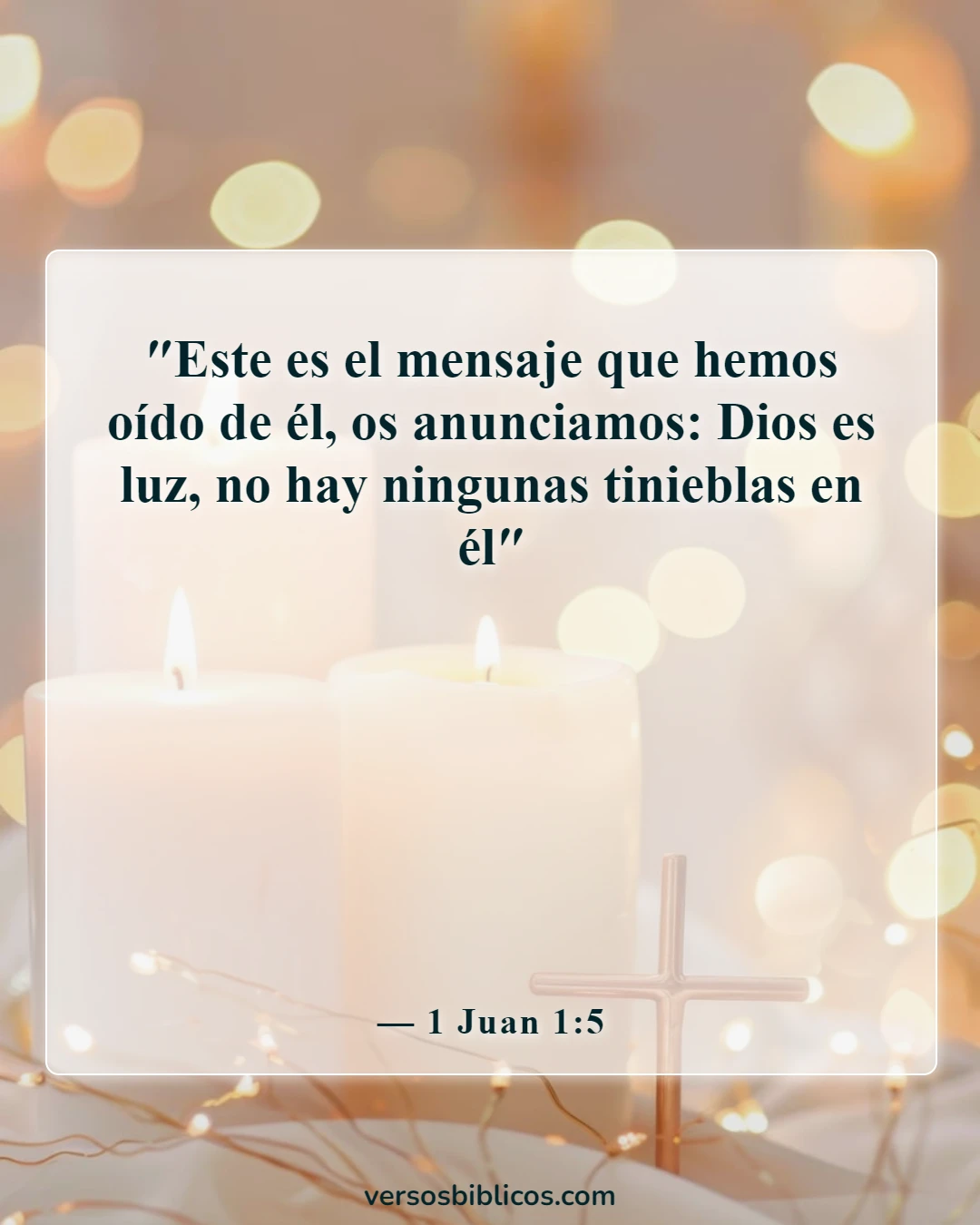 Versículos de la Biblia sobre Dios no miente (1 Juan 1:5)