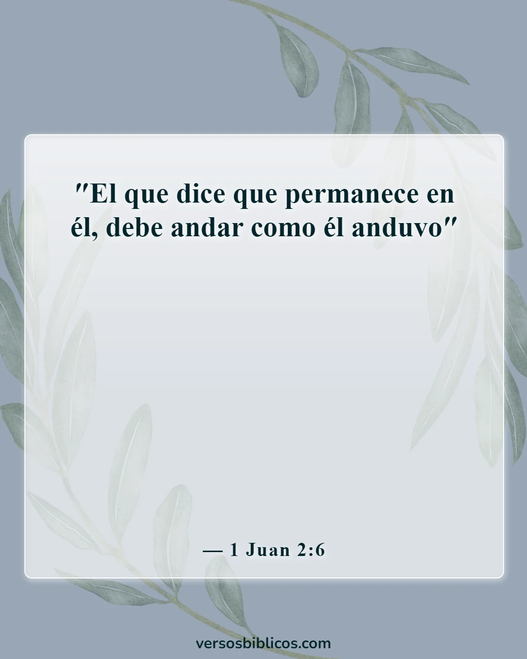 Versículos de la Biblia sobre el verdadero cristiano (1 Juan 2:6)