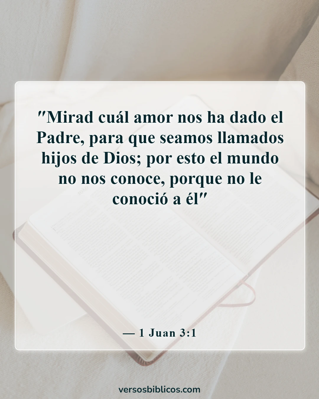 Versículos de la Biblia sobre sentirse inútil (1 Juan 3:1)
