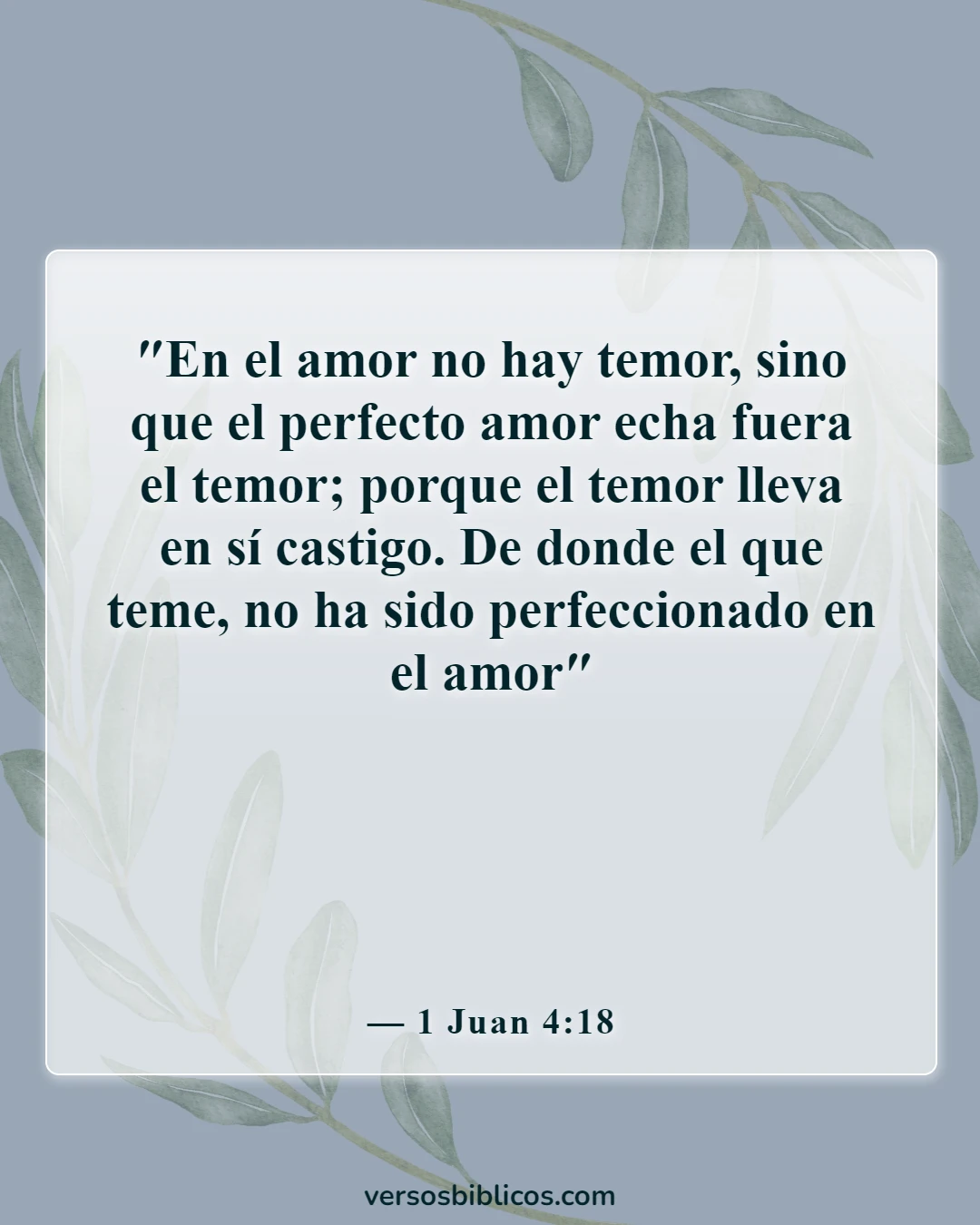 Versículos de la Biblia sobre No temas (1 Juan 4:18)