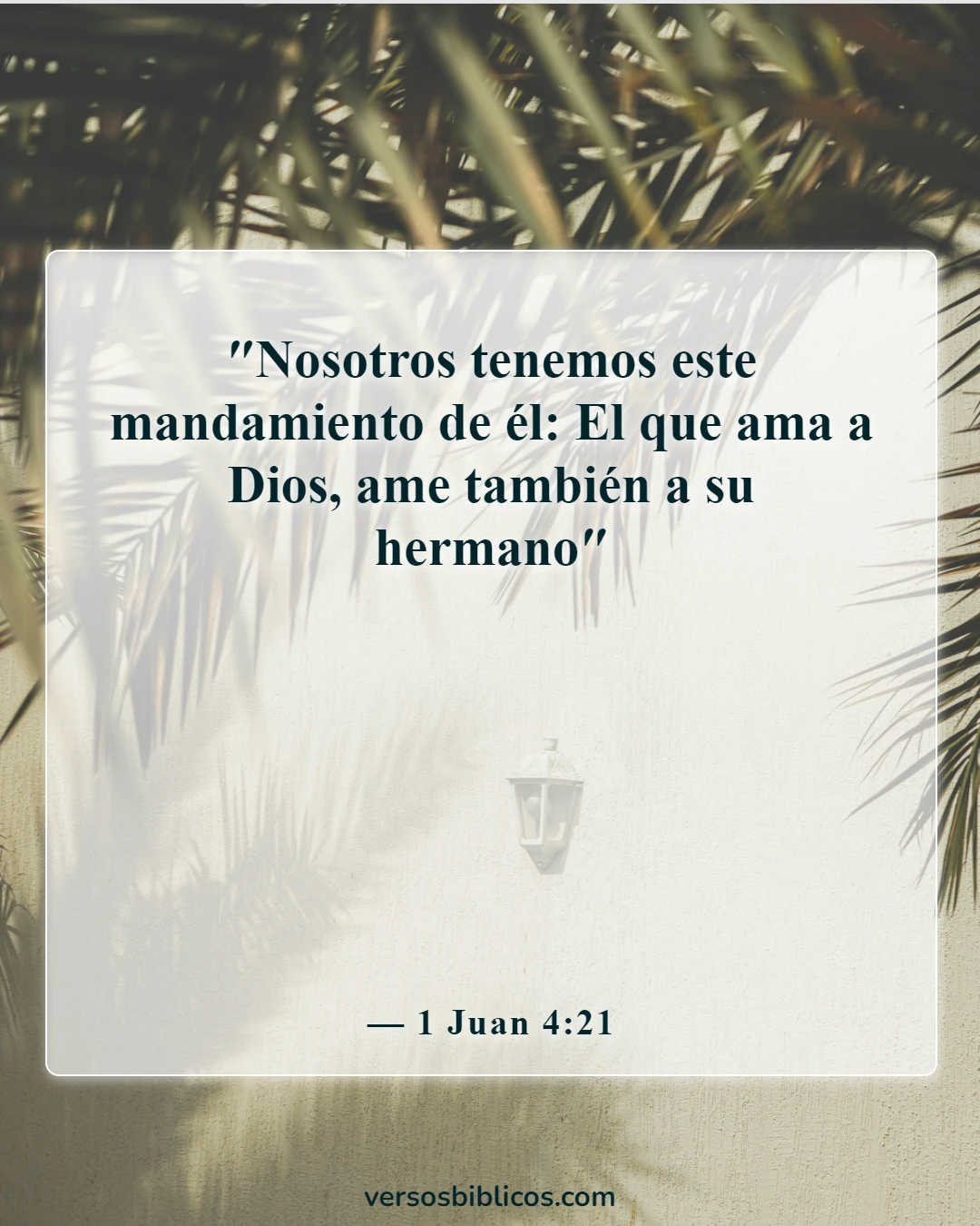Versículos de la Biblia sobre amar al prójimo (1 Juan 4:21)