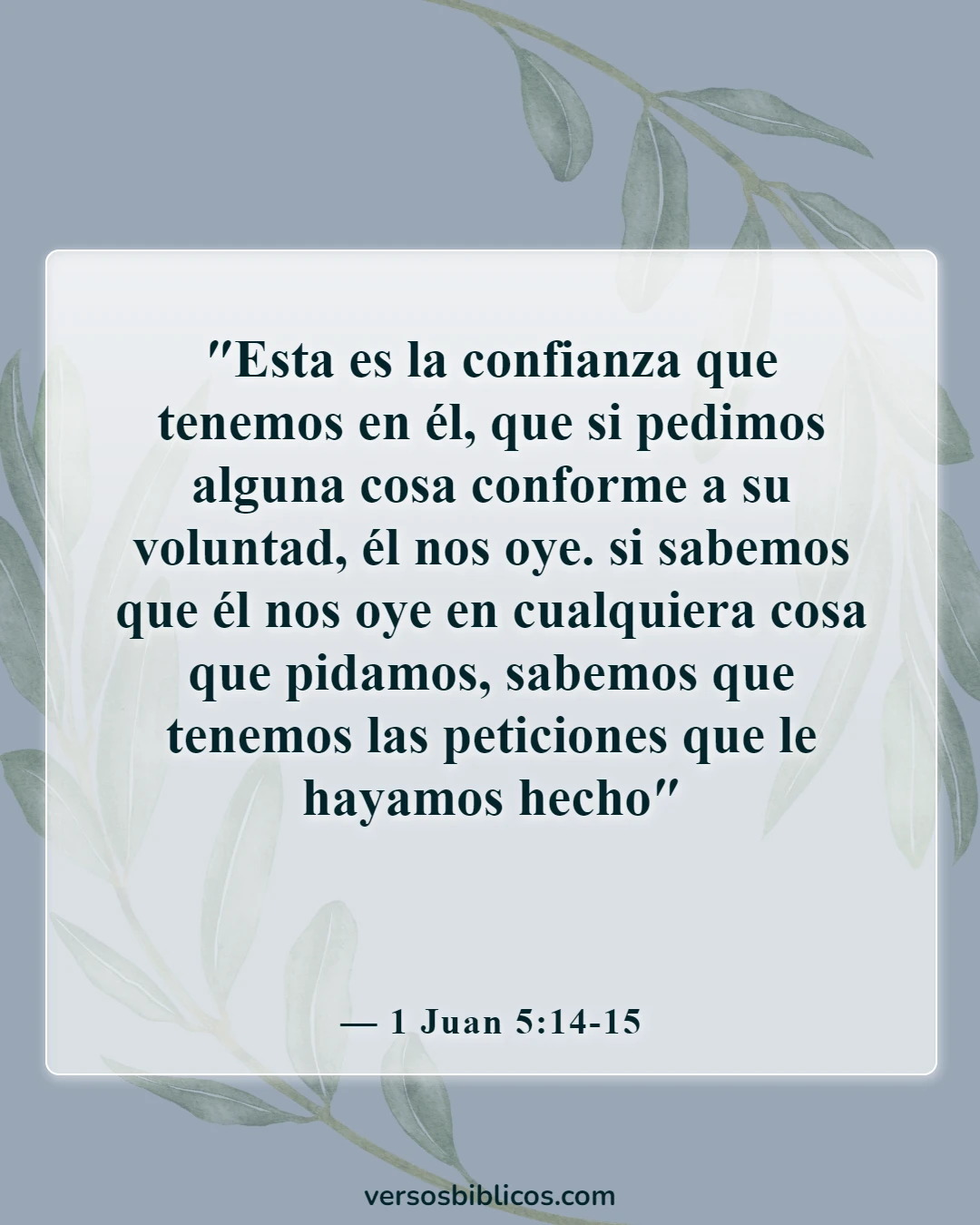 Versículos de la Biblia sobre la victoria en el nombre de Jesús (1 Juan 5:14-15)