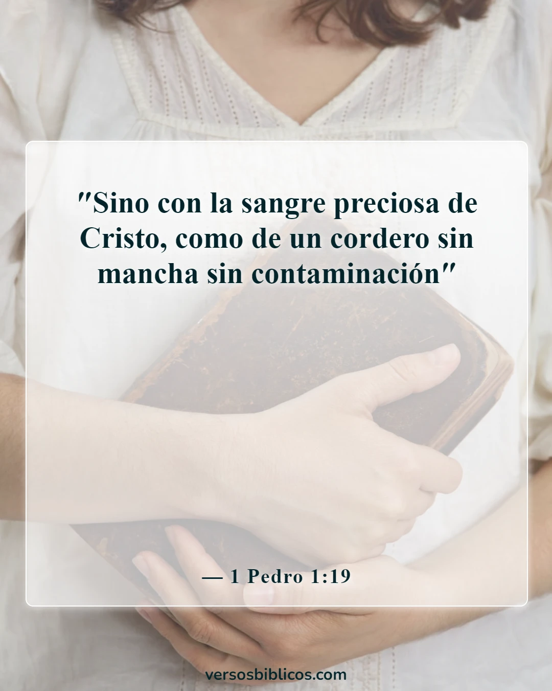 Versículos de la Biblia sobre Jesús crucificado (1 Pedro 1:19)