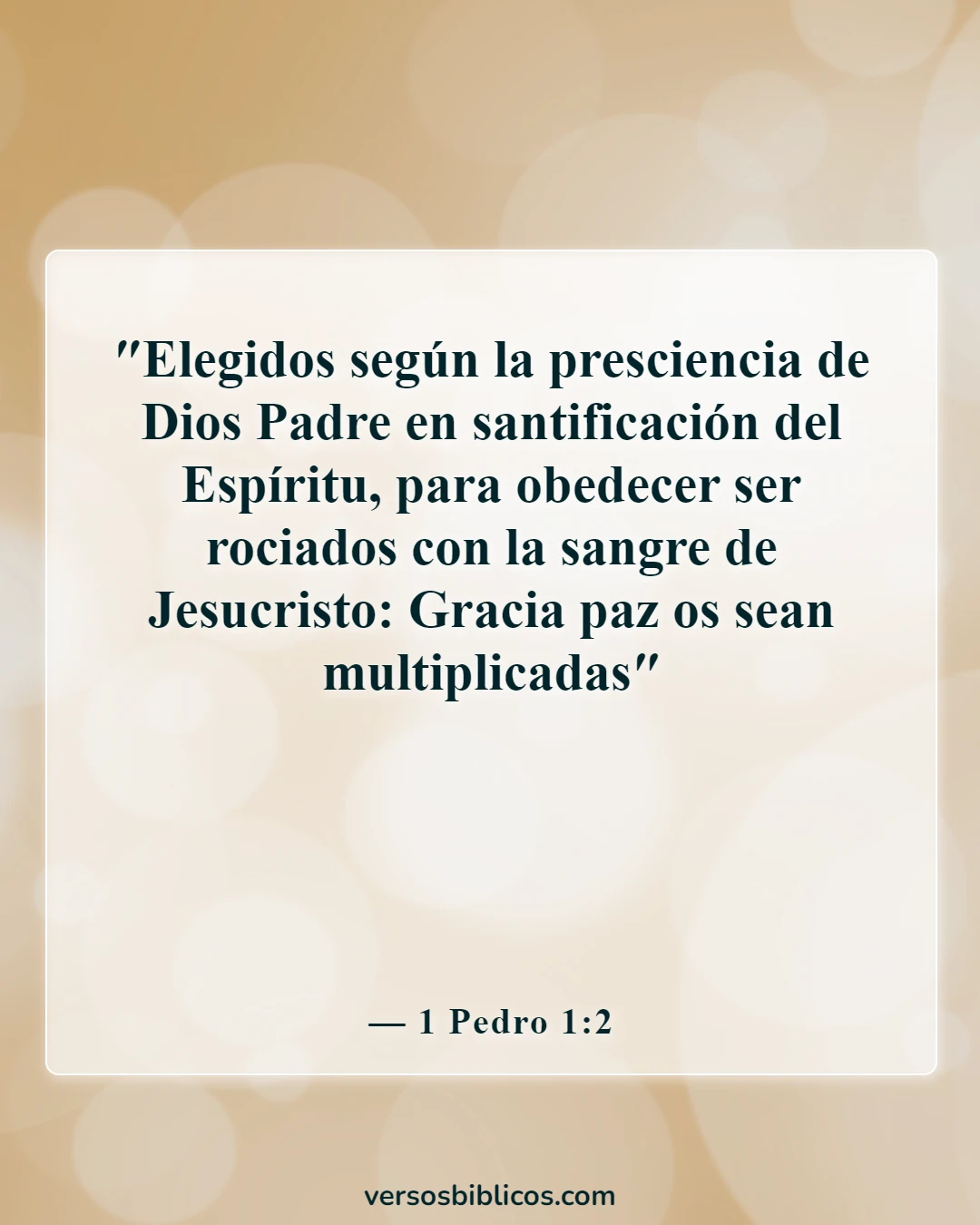 Versículos de la Biblia que prueban que la predestinación es incorrecta (1 Pedro 1:2)
