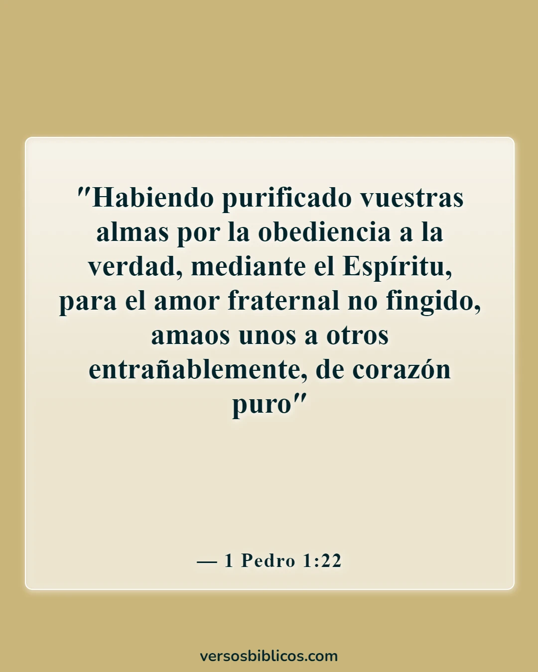 Versículos de la Biblia sobre la limpieza (1 Pedro 1:22)