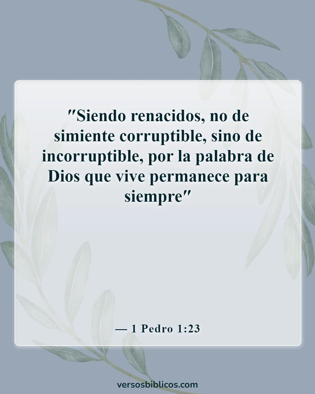 Versículos de la Biblia sobre la Palabra de Dios (1 Pedro 1:23)