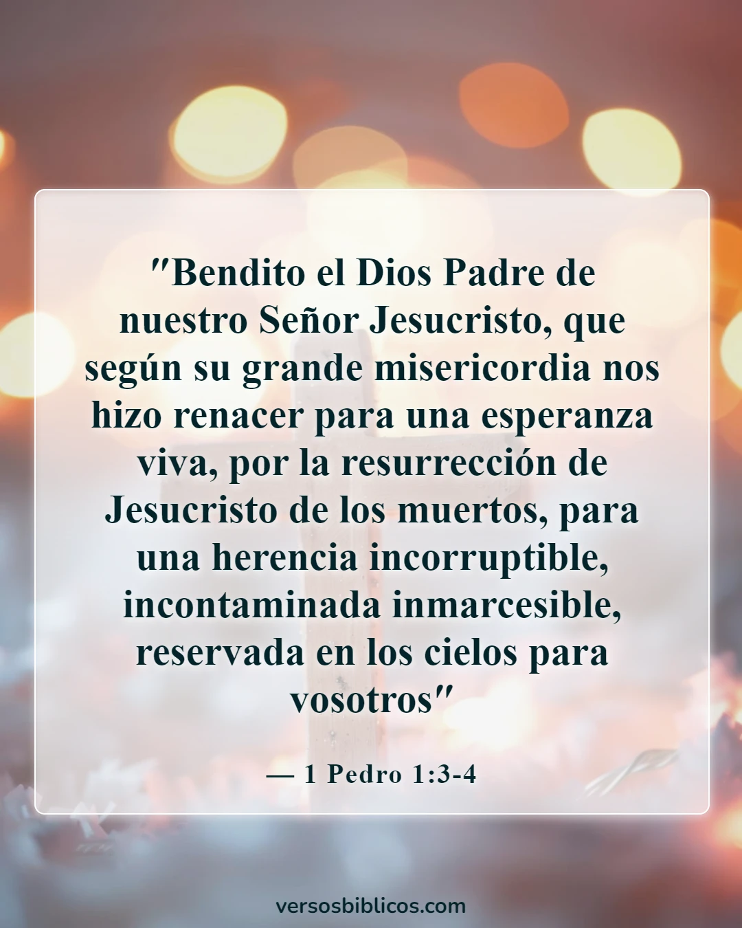 Versículos de la Biblia sobre cómo encontrar la paz en la muerte (1 Pedro 1:3-4)