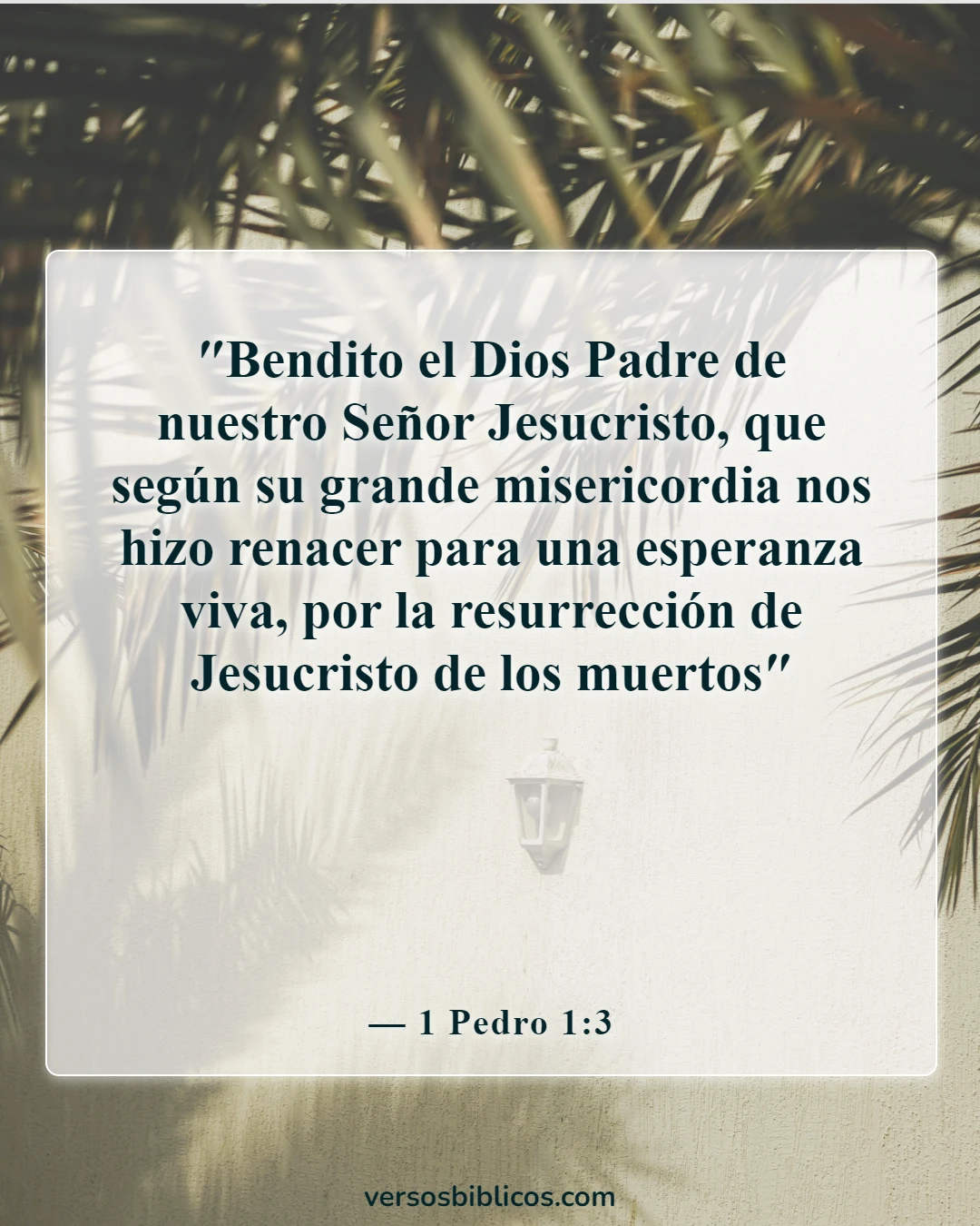 Versículos de la Biblia sobre la restauración (1 Pedro 1:3)