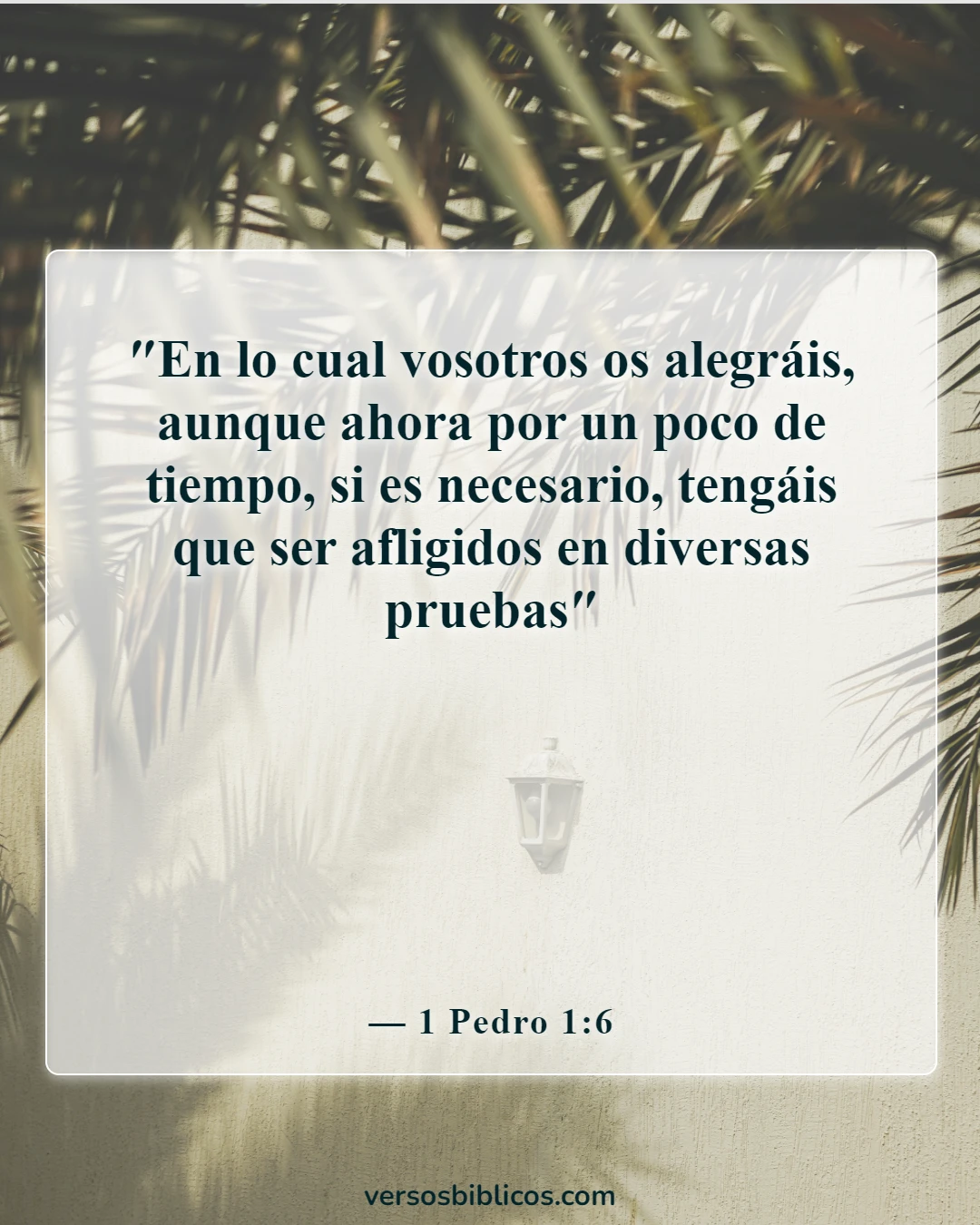 Versículos de la Biblia sobre el regocijo en las pruebas y tribulaciones (1 Pedro 1:6)