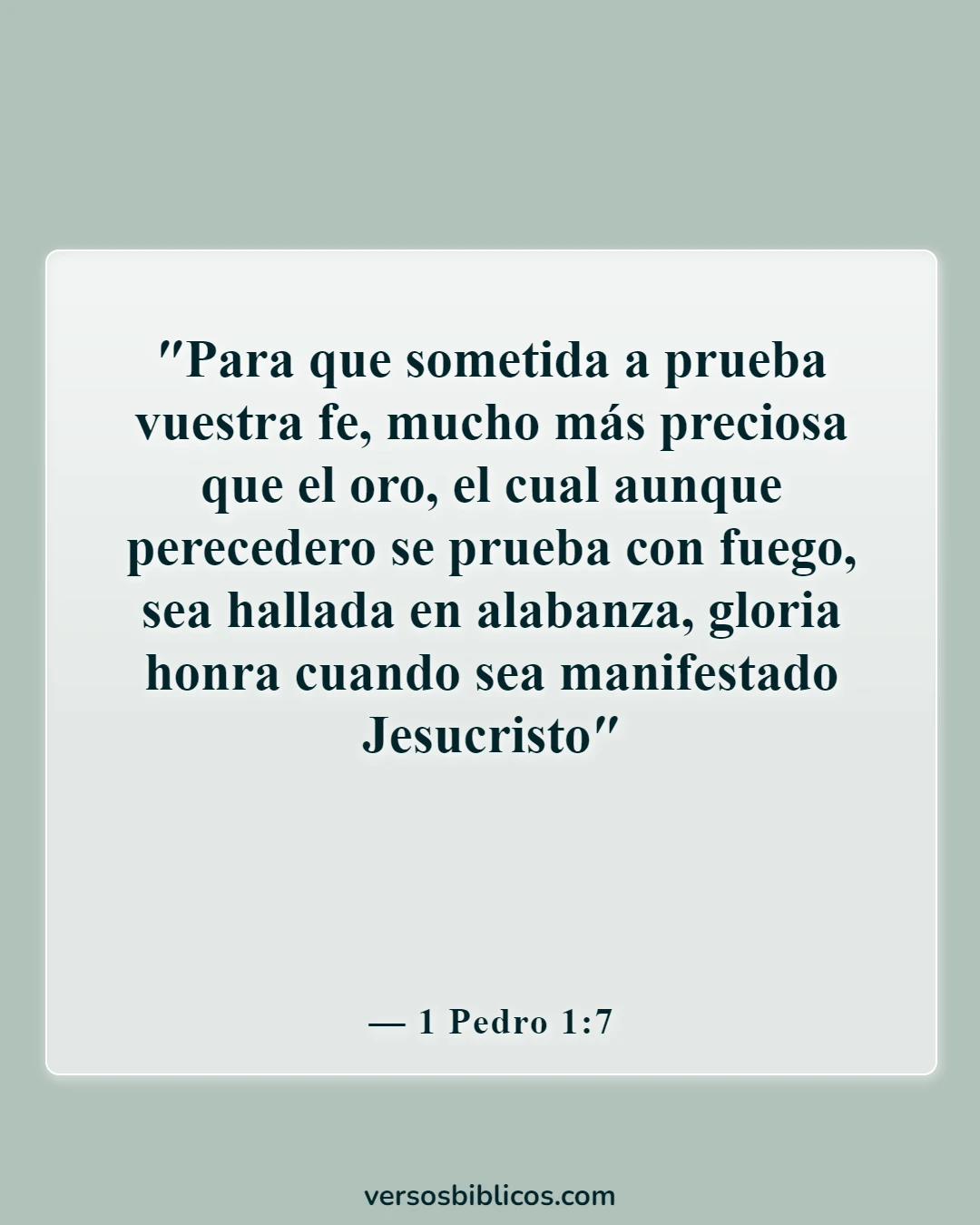 Versículos de la Biblia sobre En llamas por Dios (1 Pedro 1:7)