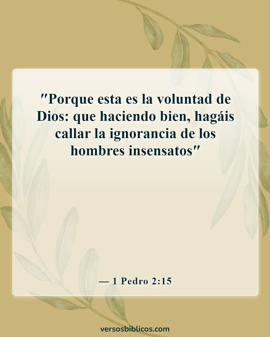 Versículos de la Biblia sobre la estupidez (1 Pedro 2:15)