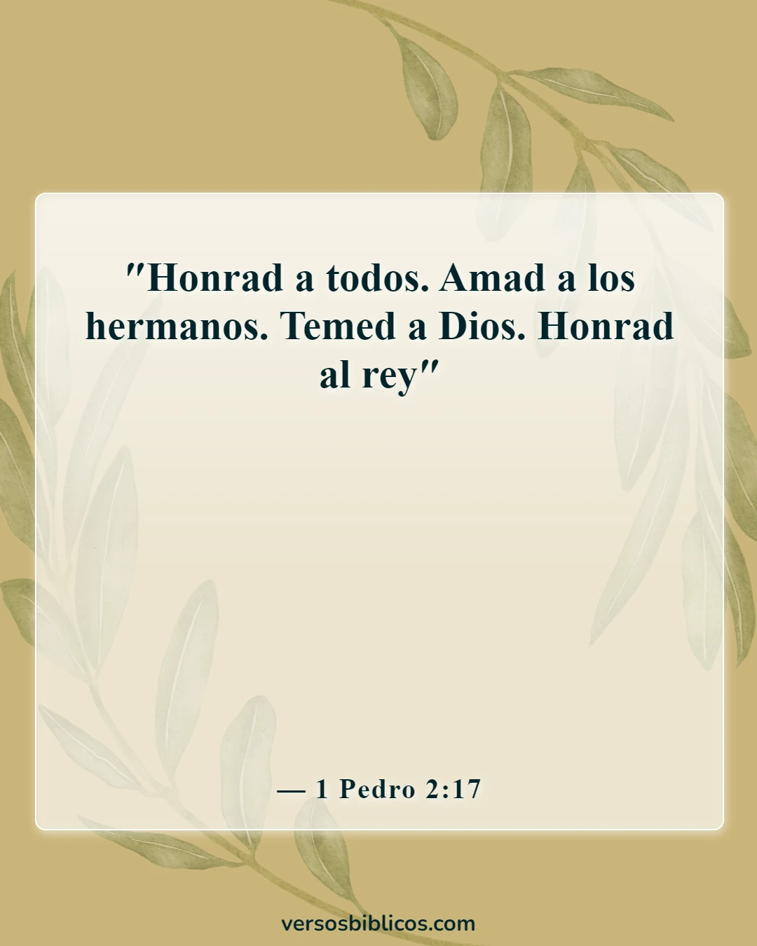 Versículos de la Biblia sobre el respeto (1 Pedro 2:17)